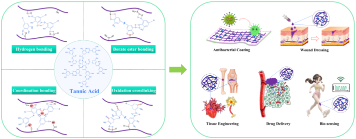 喜讯！beats365vip官网登录入口刘阳课题组本科生在知名期刊Chemical Engineering Journal发表重要综述论文